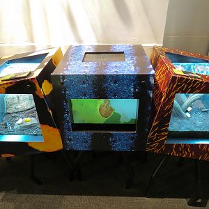 Success Stories Gallery - Deerhorn Stag Beetle and White-spotted Longhorn Beetle Exhibits