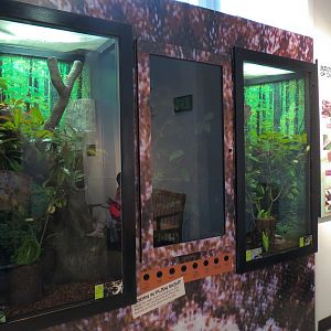 Success Stories Gallery - Wall Exhibits