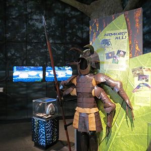 Success Stories Gallery