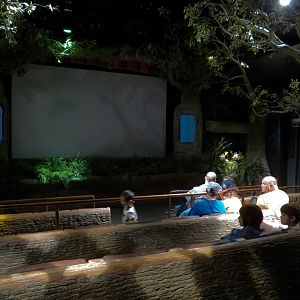 Terminix Immersion Theater - Interior