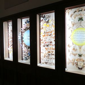 Hall Of Fame Gallery