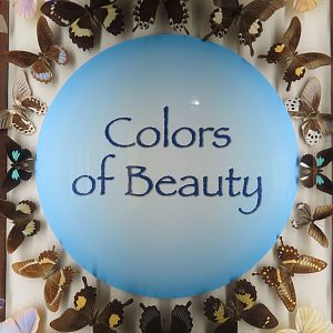 Hall Of Fame Gallery