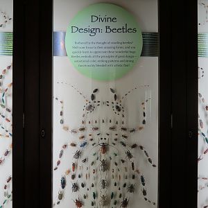 Hall of Fame Gallery