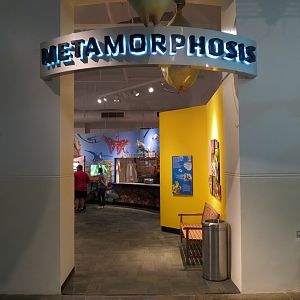 Metamorphosis - Entrance