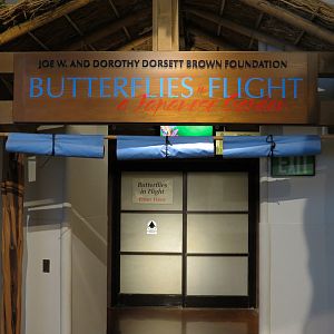 Butterflies In Flight Gallery - Entrance