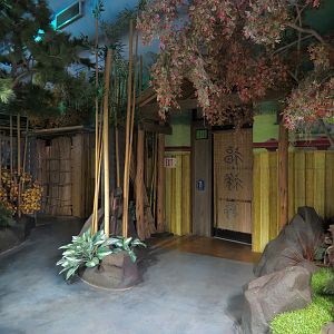 Butterflies In Flight Gallery - Interior