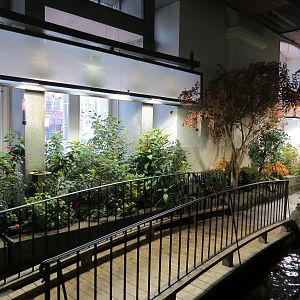 Butterflies In Flight Gallery - Interior