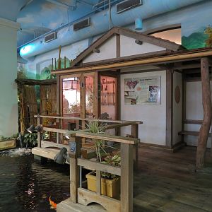 Butterflies In Flight Gallery