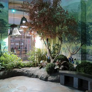 Butterflies In Flight Gallery