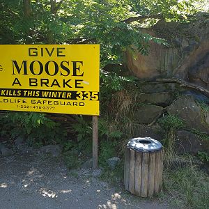 Interpretive Signage