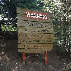 Interpretive Signage