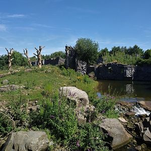 First Bear Enclosure