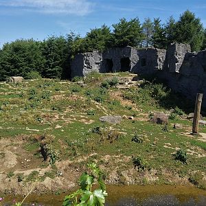 Second Bear Enclosure