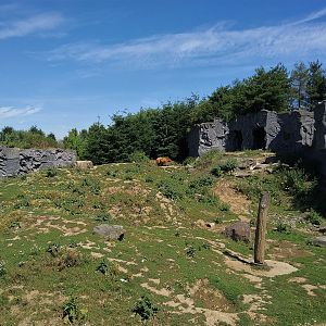 Second Bear Enclosure