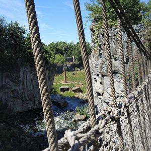 View over Kodiak Bear exhibit