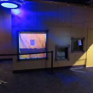 Curious Creatures Construction & Changes Update