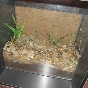 Curious Creatures Construction & Changes Update