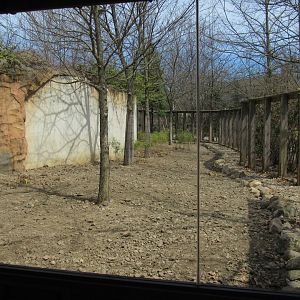 Musk Deer Exhibit Renovation