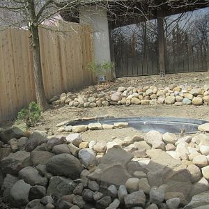 Musk Deer Exhibit Renovation