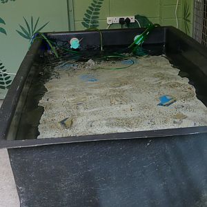Staff jacuzzi? April 2018