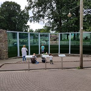 Underwater-viewing window Polar bear enclosure