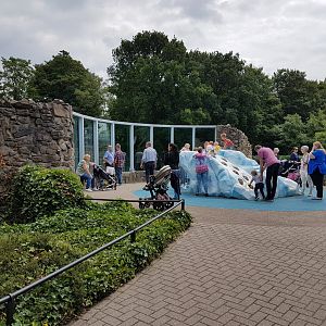 Viewing-plaza Polar bear-enclosure