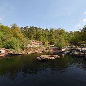 Pinniped enclosure with Polar bears in the background