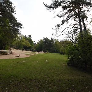 Kulan & Camel paddock