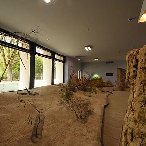 Desert house