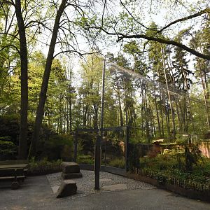 Bearded vulture aviary from above