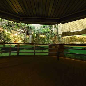 Former manatee pool complete size