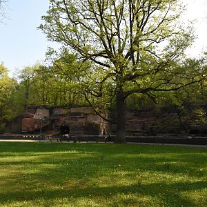 View on Cat enclosures