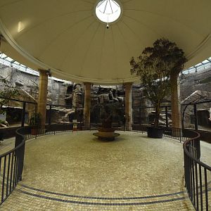 Carnivore house - overview