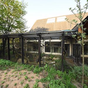 Squirrel monkey - smaller outdoor cage