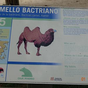 Zoo Aquarium de Madrid 1.10.17