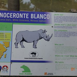 Zoo Aquarium de Madrid 1.10.17