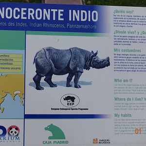 Zoo Aquarium de Madrid 1.10.17