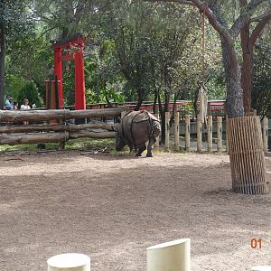 Zoo Aquarium de Madrid 1.10.17