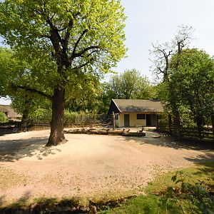 Mhor gazelle paddock