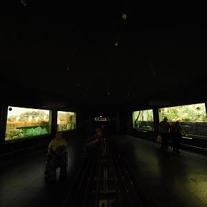 Exotarium - Entrance hall