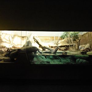 Grzimek house - Otter indoors