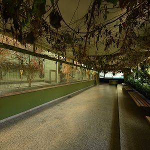 Monkey house - General view