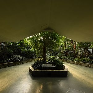 Bird house - Freeflight