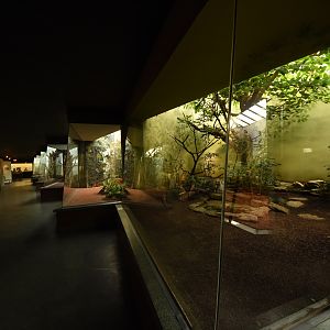 Bird house - Aviaries