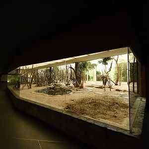 Bird house - Marabou indoors