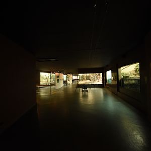 Bird house - Main hall