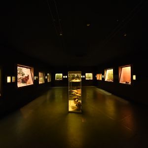 Bird house - Jewell hall