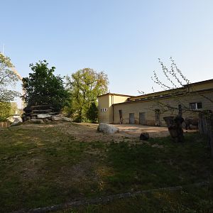 Pachyderm house - Rhino outdoors