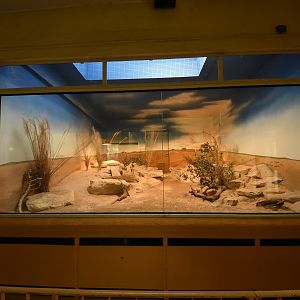 Giraffe house - Fennek