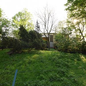 Giraffe house - Klipspringer outdoors